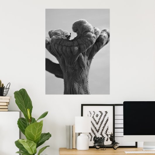 A Rare Saguaro Cactus Poster (Thuiskantoor)