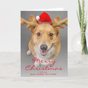 A Red and white Pembroke Welsh Corgi dog Feestdagen Kaart