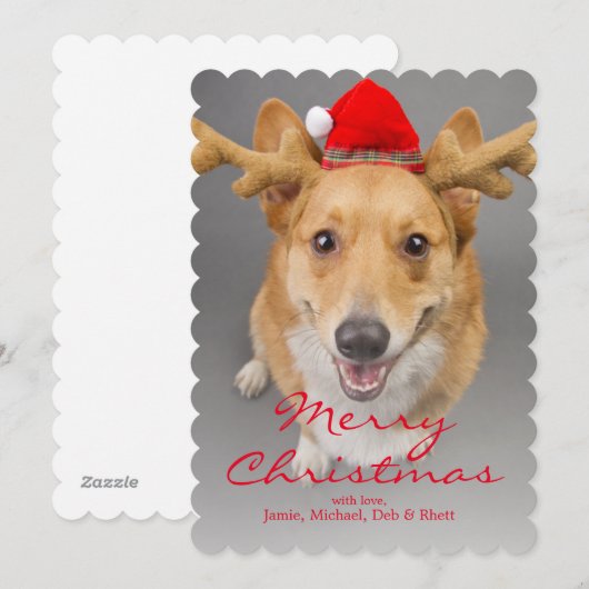 A Red and white Pembroke Welsh Corgi dog Feestdagenkaart (Voorkant / Achterkant)