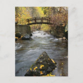 A River Running Through American Fork Canyon Briefkaart (Voorkant)