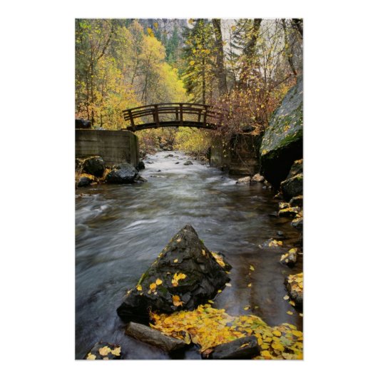 A River Running Through American Fork Canyon Poster (Voorkant)