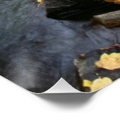 A River Running Through American Fork Canyon Poster (Hoek)