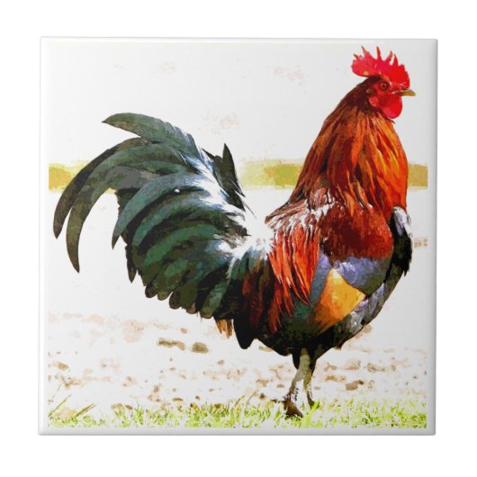 A Rooster Tegeltje (Voorkant)