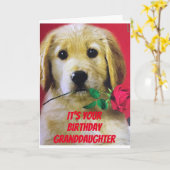 * A ROSE* FOR MY GRANDDAUGHTER "YOUR BIRTHDAY CARD KAART (Gele Bloem)