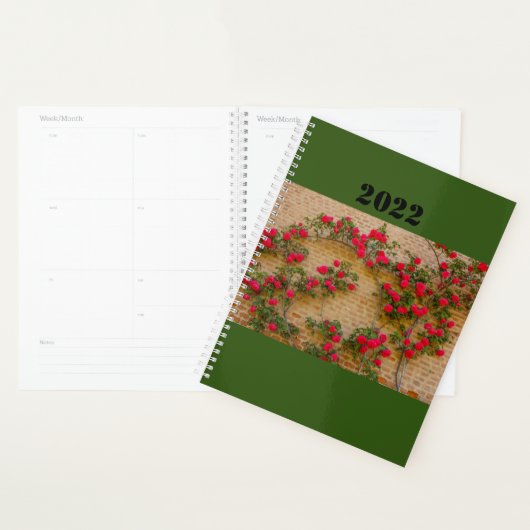 a roses climb on a brick wall  on planner (Display)