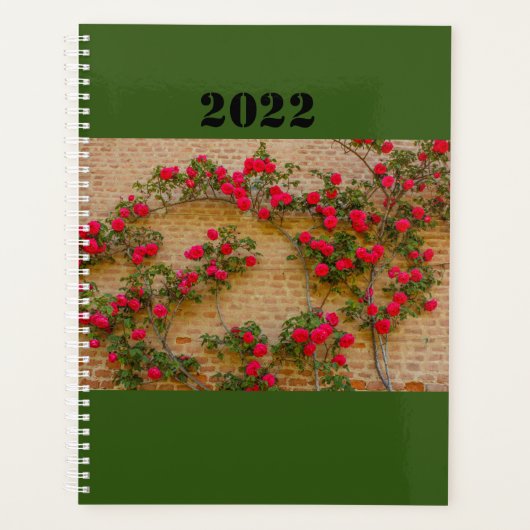 a roses climb on a brick wall on planner (Voorkant)