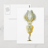 A Rotifer Briefkaart (Voorkant / Achterkant)
