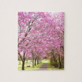 a row of cherry blossom trees legpuzzel (Verticaal)