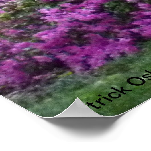 A Savannah Square in Bloom Poster (Hoek)