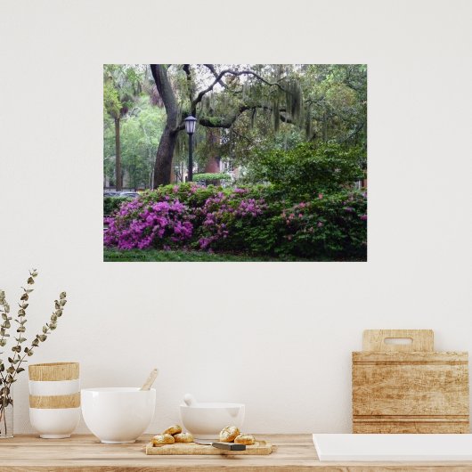 A Savannah Square in Bloom Poster (Keuken)