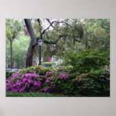 A Savannah Square in Bloom Poster (Voorkant)