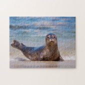 A seal on a beach along the Pacific Coast Legpuzzel (Horizontaal)