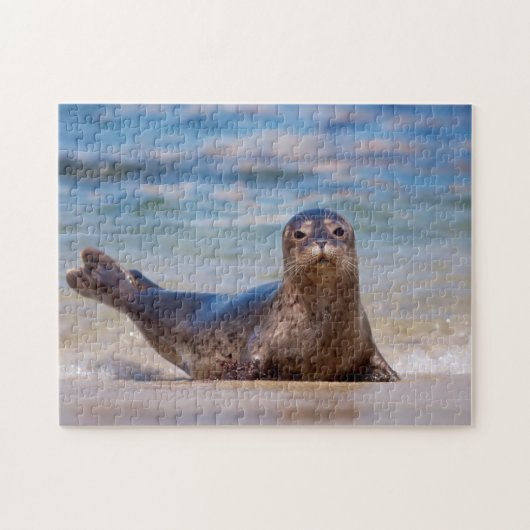 A seal on a beach along the Pacific Coast Legpuzzel (Horizontaal)