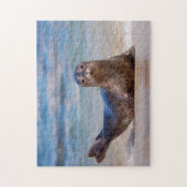 A seal on a beach along the Pacific Coast Legpuzzel (Verticaal)