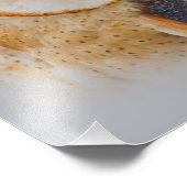 A Serene Barn Owl Foto Afdruk (Hoek)