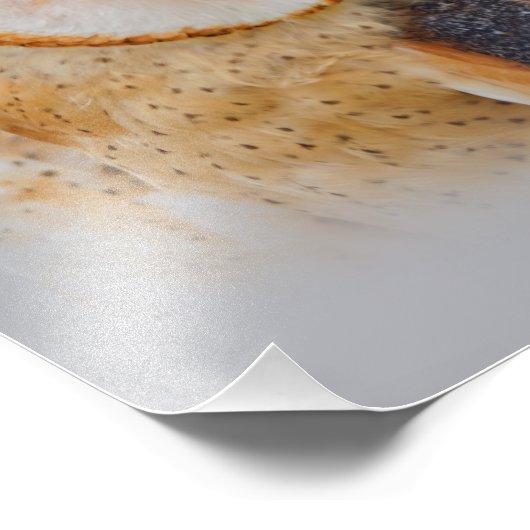 A Serene Barn Owl Foto Afdruk (Hoek)