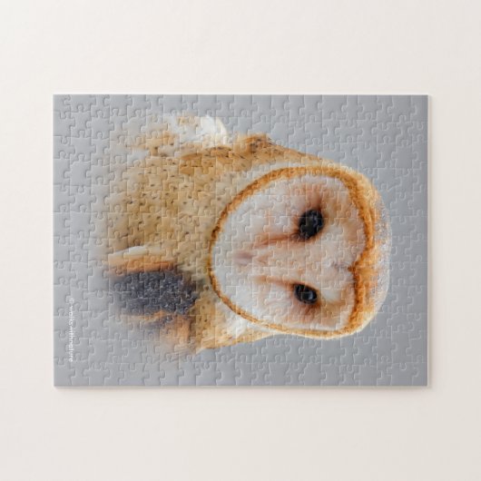 A Serene Barn Owl Legpuzzel (Horizontaal)