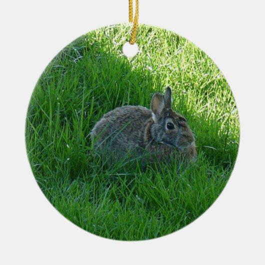 A Shady Bunny Keramisch Ornament (Voorkant)