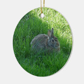 A Shady Bunny Keramisch Ornament (Links)
