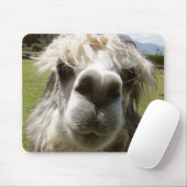 A Shaggy Alpaca Muismat (Met muis)