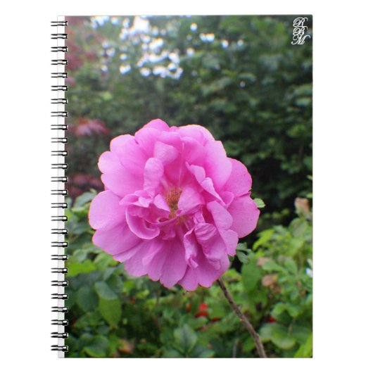 A Single Pink Flower Notitieboek (Voorkant)
