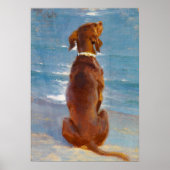 A sitting brown dog by P.S. Kroyer Poster (Voorkant)