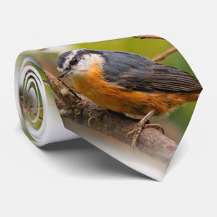 A Skeptical Red-Breasted Nuthatch Stropdas