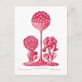 A Slime Mold Briefkaart (Voorkant)