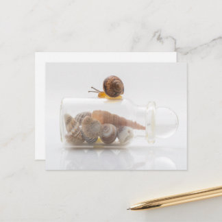 A snail and seashells briefkaart