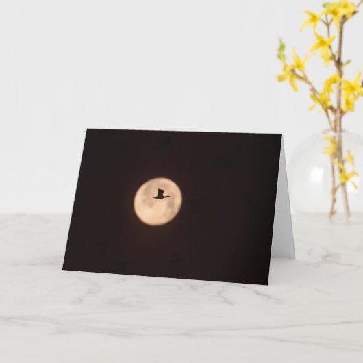 A Snow Goose Against A Full Moon | New Mexico Kaart (Gele Bloem)