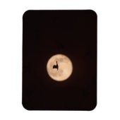 A Snow Goose Against A Full Moon | New Mexico Magneet (Verticaal)