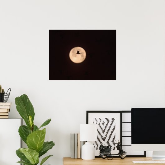 A Snow Goose Against A Full Moon | New Mexico Poster (Thuiskantoor)