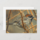 A sparrow, resting, sits on a bush branch briefkaart (Voorkant / Achterkant)