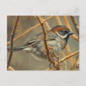 A sparrow, resting, sits on a bush branch briefkaart (Voorkant)