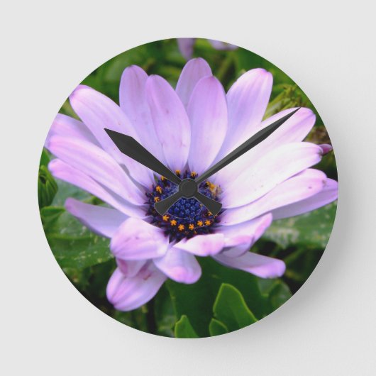 A Spiers Center Ronde Klok (Voorkant)