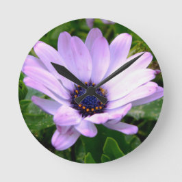 A Spiers Center Ronde Klok