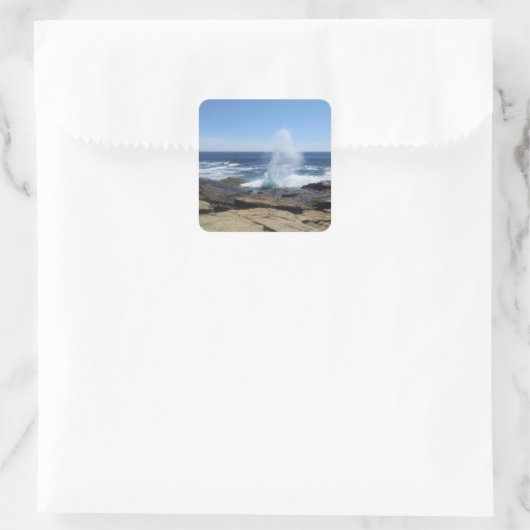 A Splash of Adventure at Schoodic Point Vierkante Sticker (Tas)