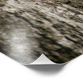 A squirrel perched on the knob of a tree. foto afdruk (Hoek)