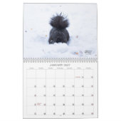 A Squirrel's Tale 2026 Wall Calendar Kalender (Jan 2027)