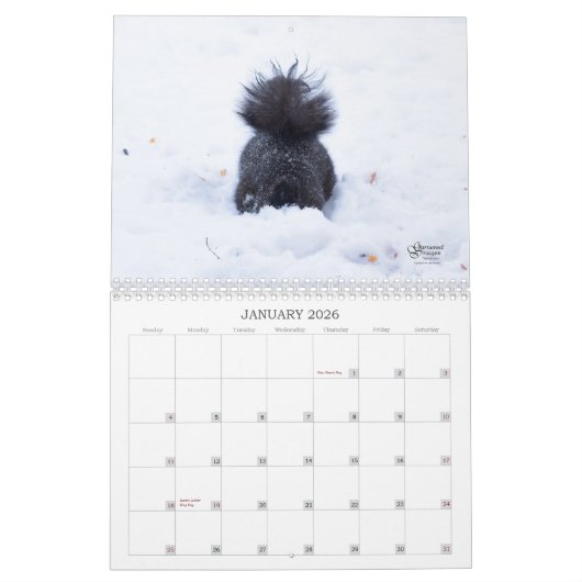 A Squirrel's Tale 2026 Wall Calendar Kalender (Jan 2026)