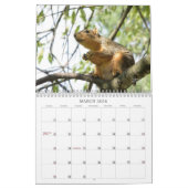 A Squirrel's Tale 2026 Wall Calendar Kalender (Mar 2026)