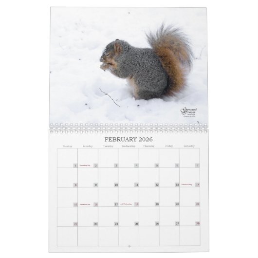 A Squirrel's Tale 2026 Wall Calendar Kalender (Feb 2026)