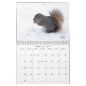 A Squirrel's Tale 2026 Wandkalender Kalender (Feb 2027)