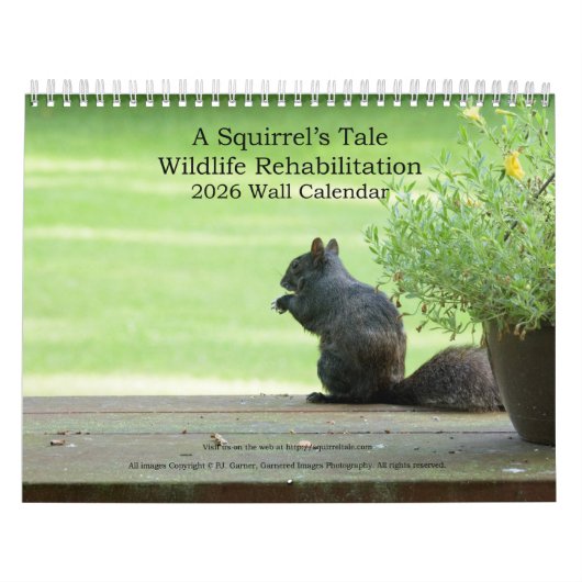 A Squirrel's Tale 2026 Wandkalender Kalender (Hoes)