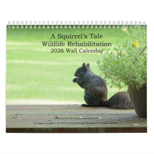 A Squirrel's Tale 2026 Wandkalender Kalender