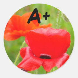 A+ stickers Rode Klaprozen sticker Schoolkinderen