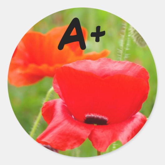 A+ stickers Rode Klaprozen sticker Schoolkinderen (Voorkant)