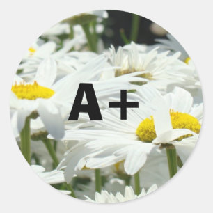 A+ Stickers Studenten Cijfer Leraren School Daisy