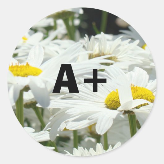 A+ Stickers Studenten Cijfer Leraren School Daisy (Voorkant)