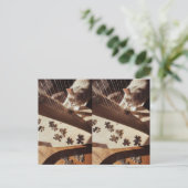 A Still Moment in Sunlight Briefkaart (Staand voorkant)